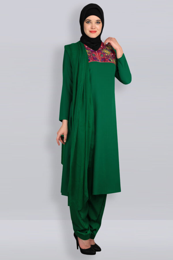 fancy-stylish-elegant-embroidered-salwar-kameez-B.jpg